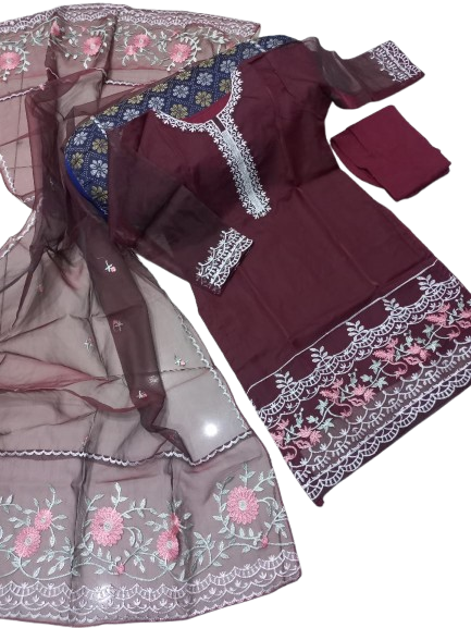 Neck Sleeves and Daman Embroidered
